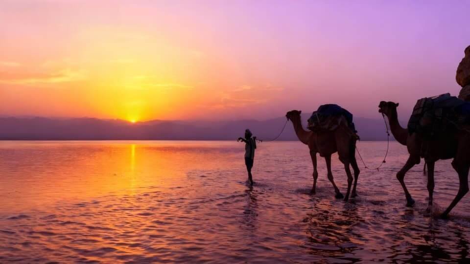 Multi-Destination Experiences Across the Horn of Africa